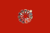 青岛城阳区回收红酒